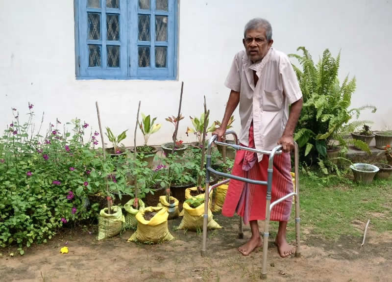 The Resilience of K. E. Ananda Weerakoon: From Hardship to Hope
