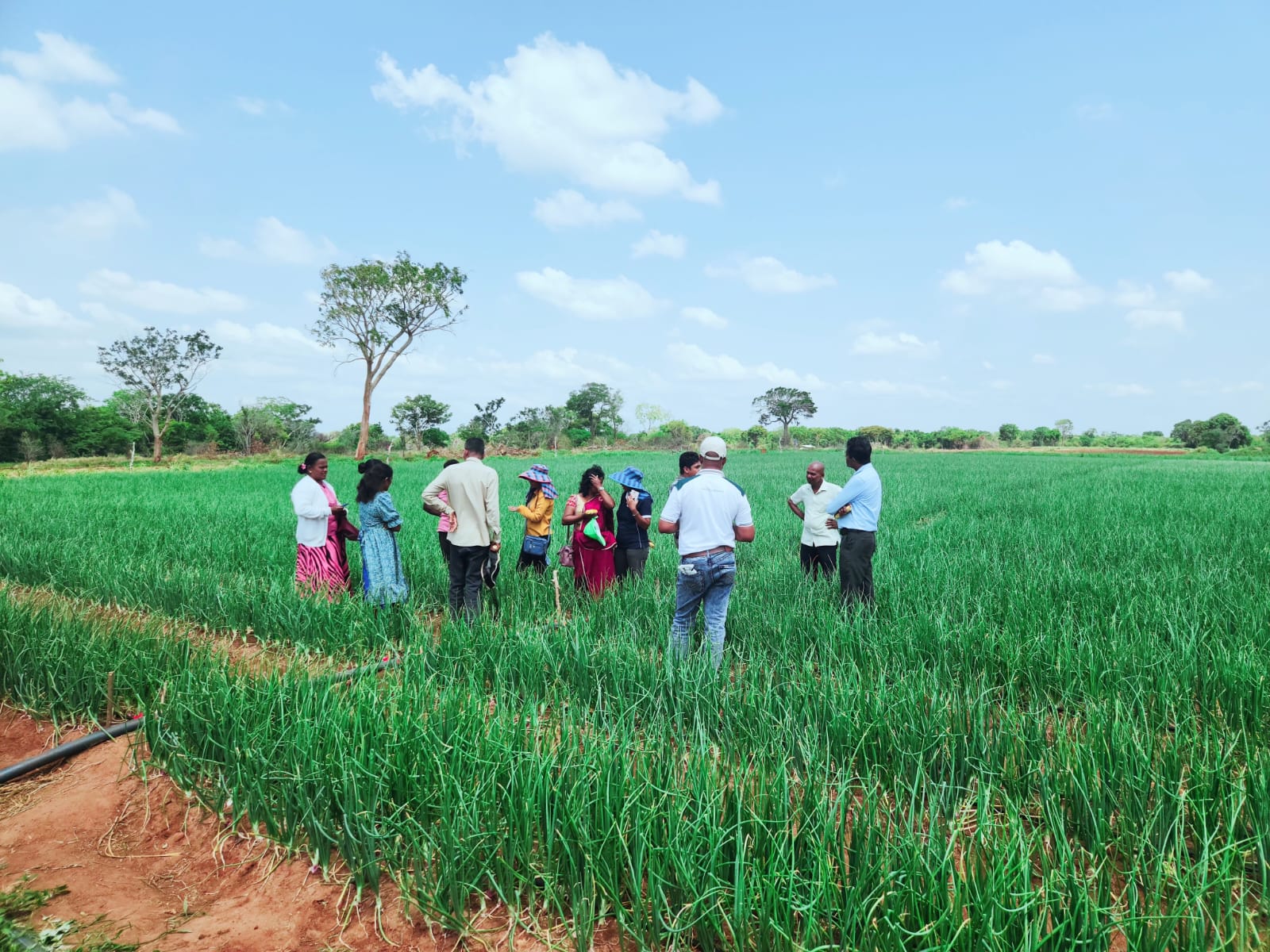 Strengthening Climate-Resilient Farming Through Modern Agriculture and Livestock Training