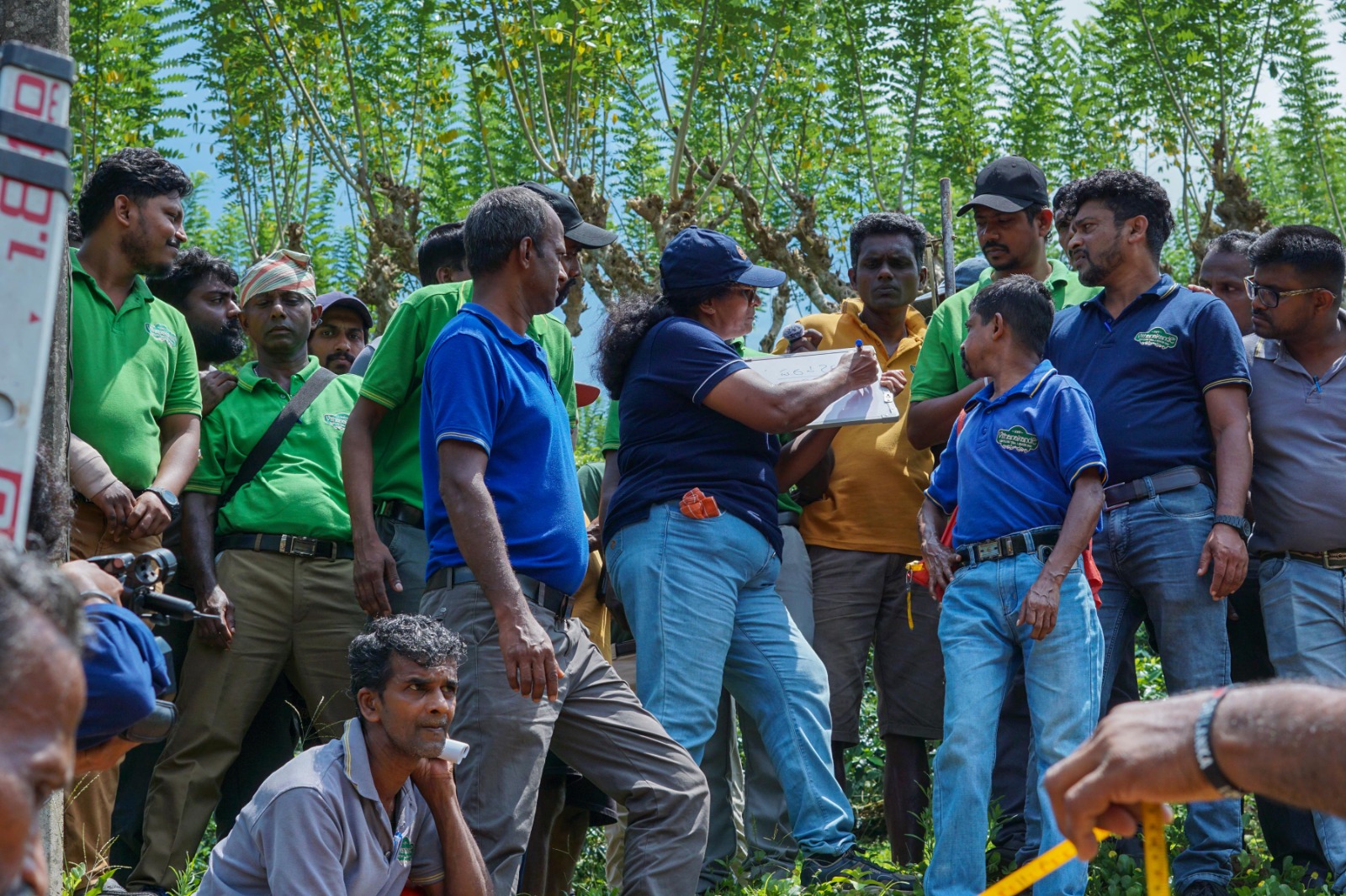 Promoting Sustainable Land Management in Tea Cultivation in Ratnapura