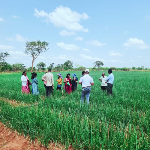 Strengthening Climate-Resilient Farming Through Modern Agriculture and Livestock Training